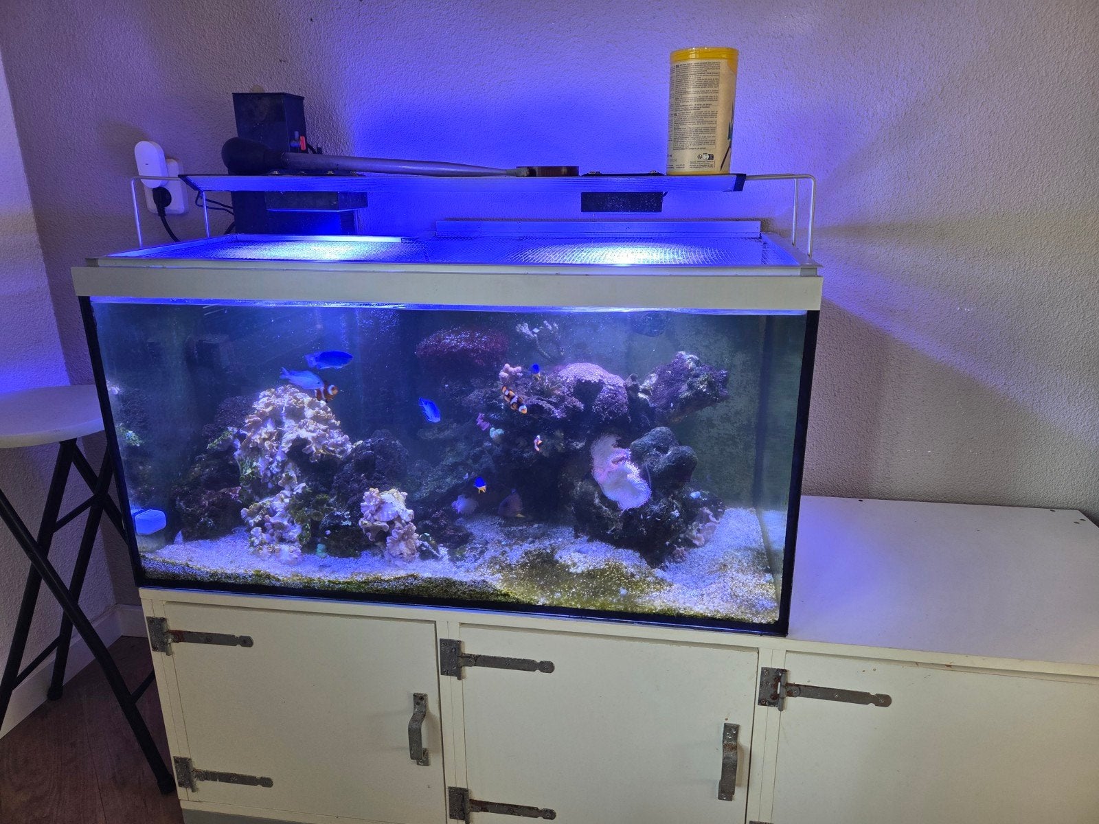 Aquarium met vis koraal en toebehoren, Ophalen