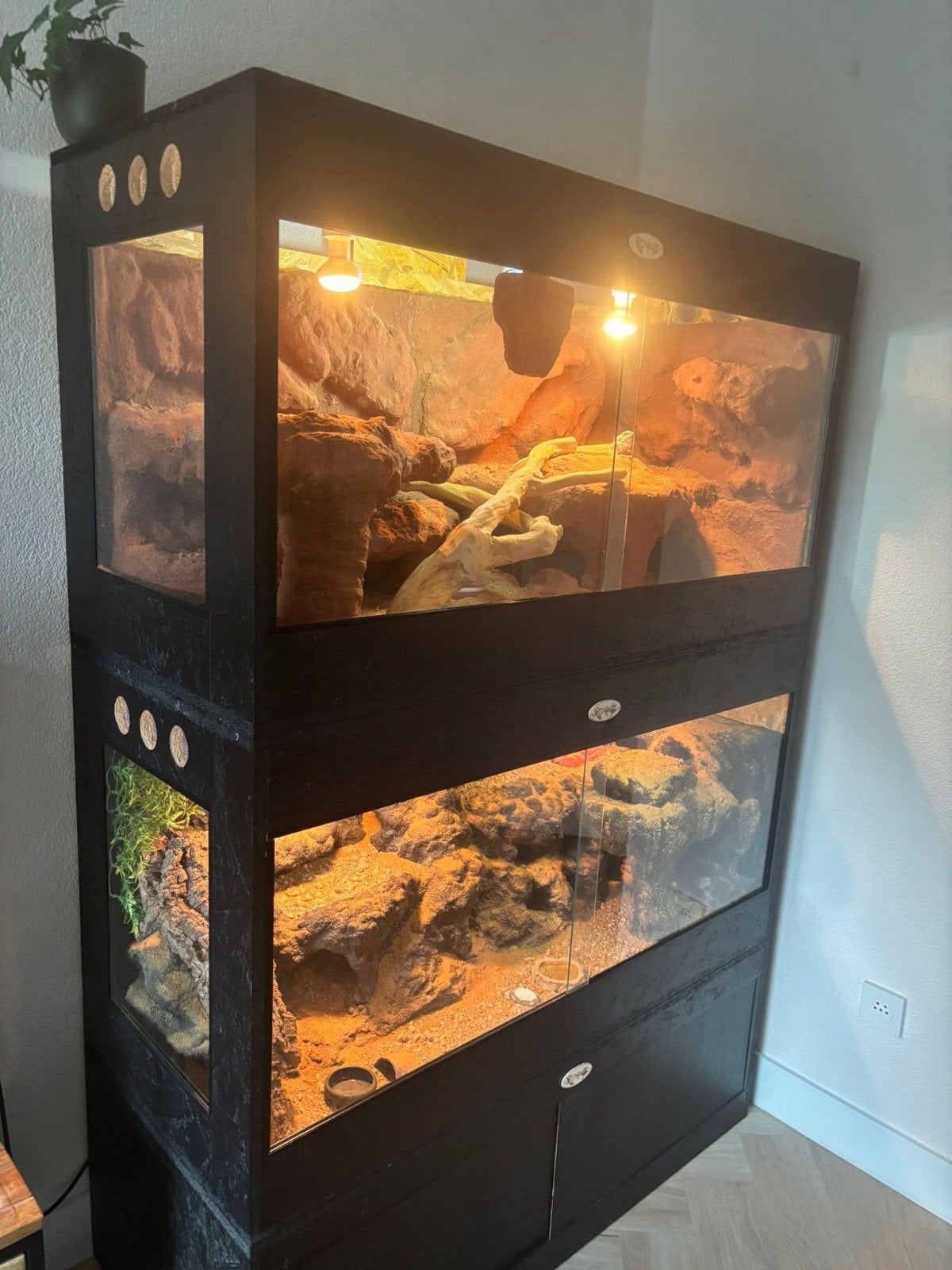 Osb3 terrarium RepHouSZ. Ook maatwerk, Ophalen, Nieuw, Terrarium of Paludarium