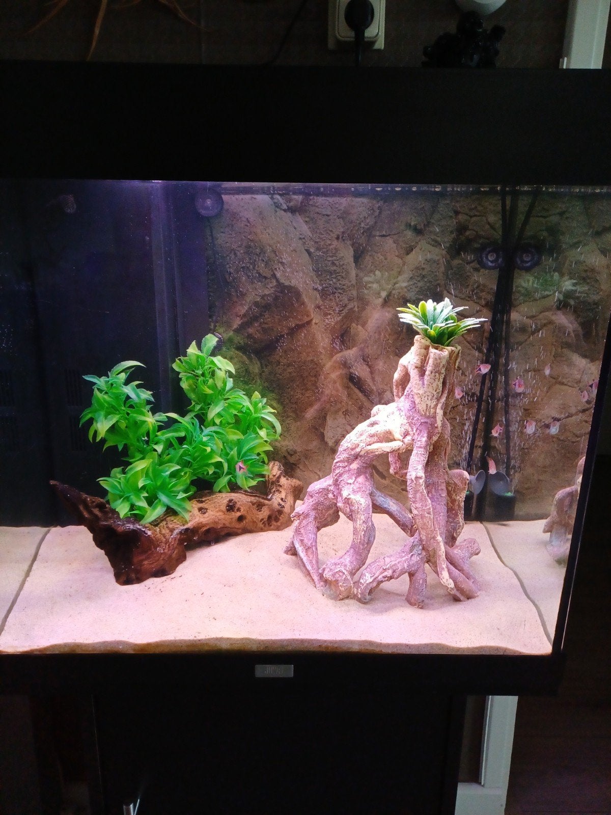 Juwel Lido 120, Ophalen of Verzenden, Gevuld zoetwateraquarium