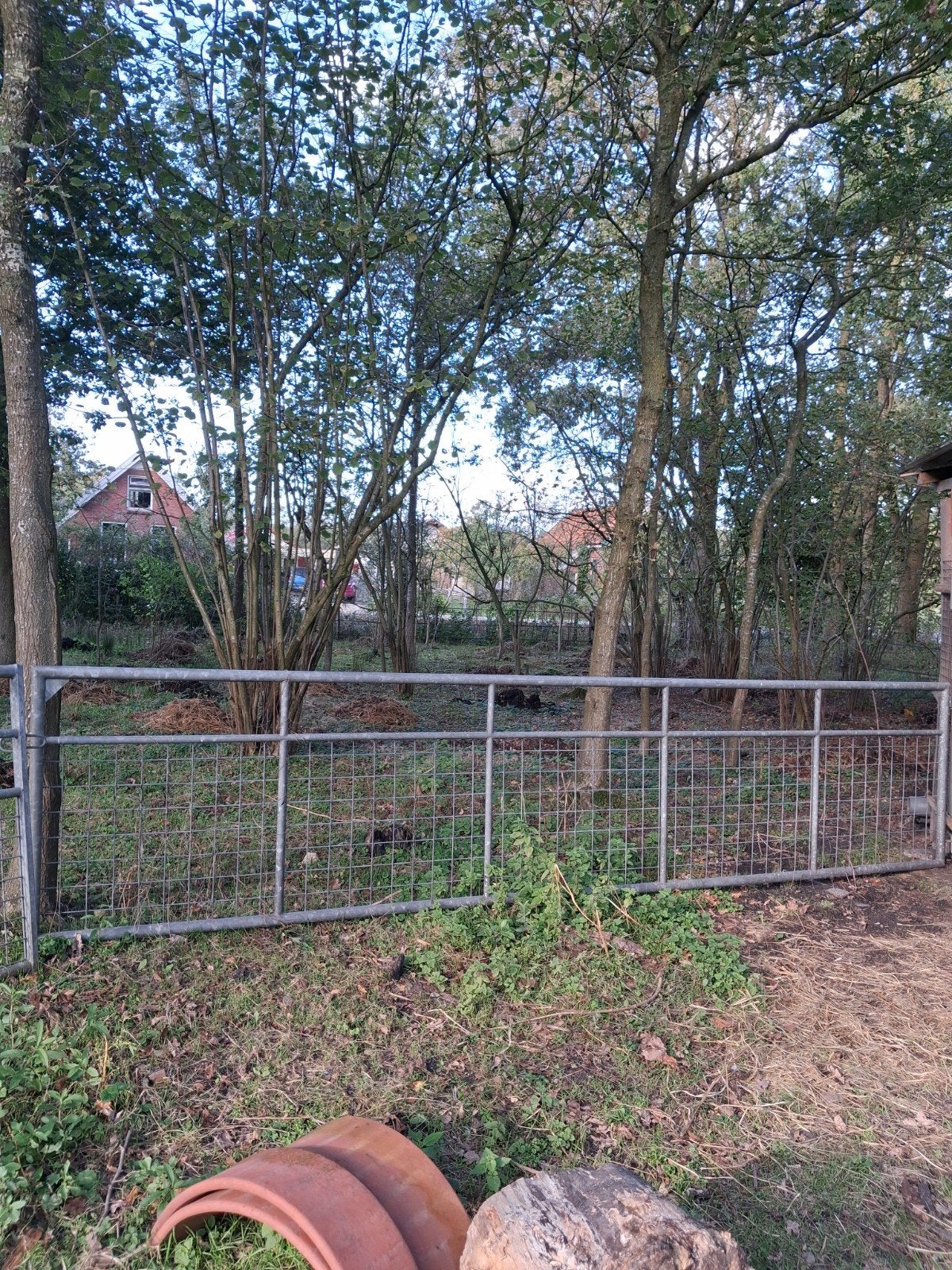 2 zware kwaliteit weidehekken.4 en 5 meter lang, Dieren en Toebehoren