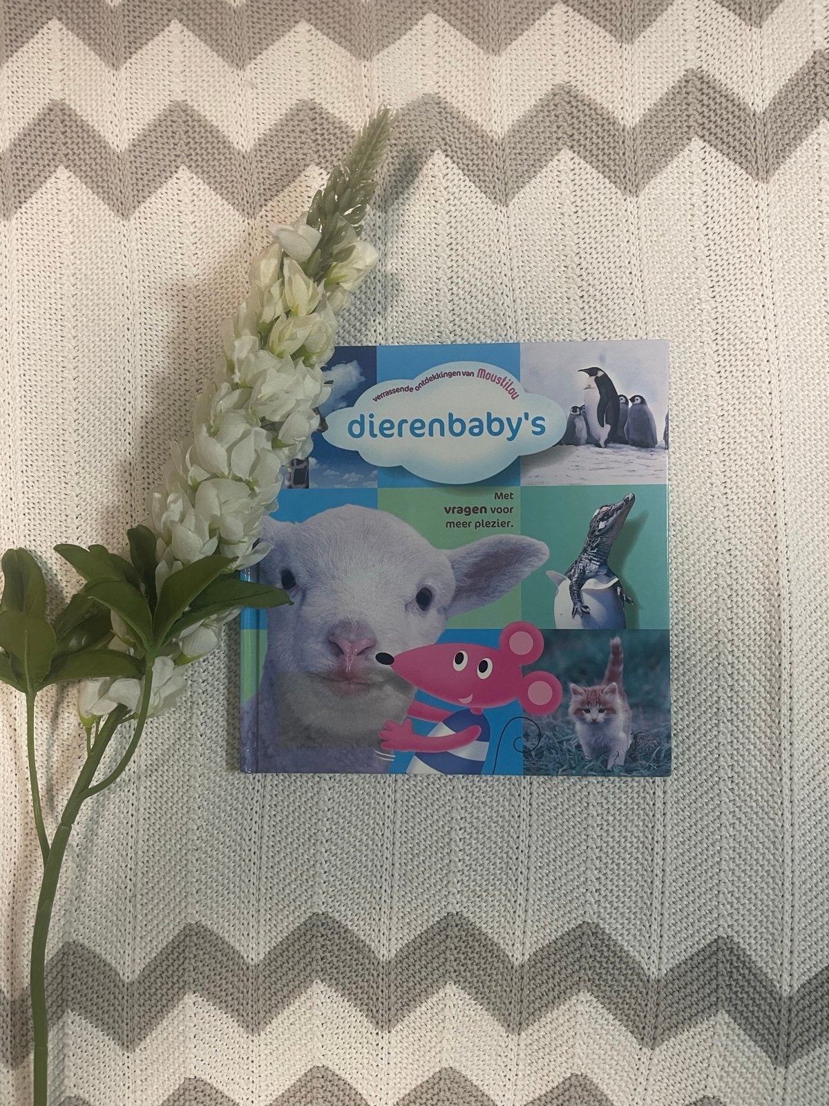 Leuk en leerzaam peuter-/kleuterboek: Dierenbaby's, Ophalen of Verzenden, Gelezen