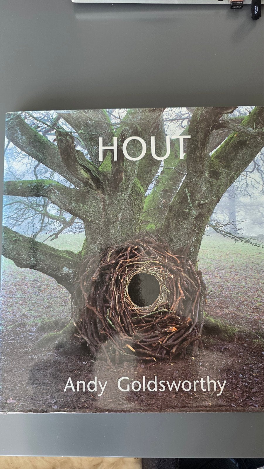 Andy Goldsworthy - Hout prachtig boek, Boeken, Ophalen of Verzenden, Zo goed als nieuw, Adrian Goldsworthy