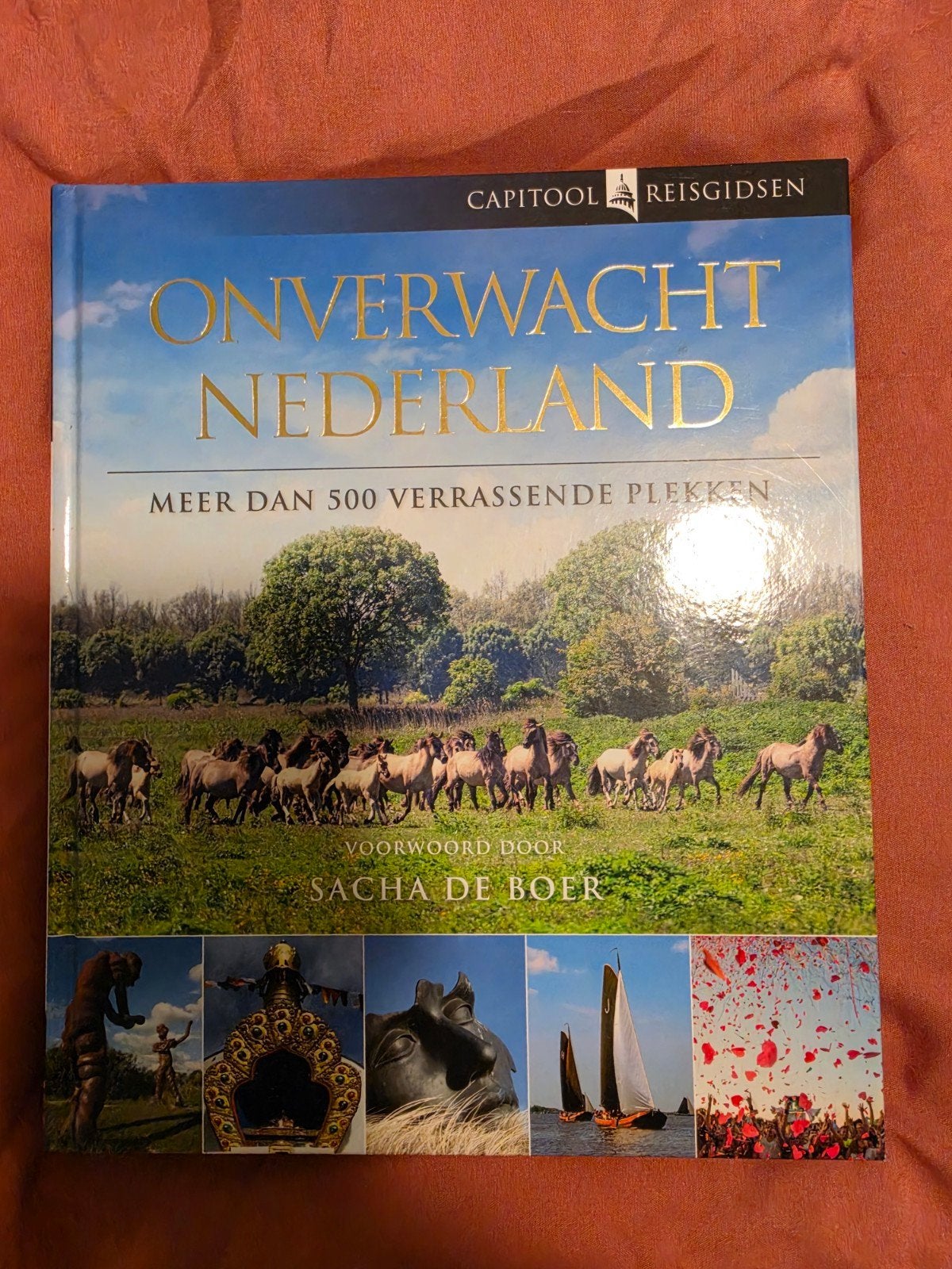 Onverwacht Nederland - Capitool Reisgidsen, Capitool, Ophalen of Verzenden, Zo goed als nieuw, Reisgids of -boek