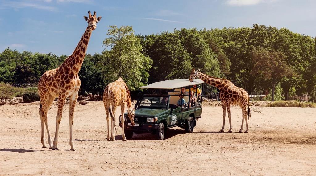 6 tickets voor beeksebergen, Tickets en Kaartjes, Drie personen of meer, Ticket of Toegangskaart