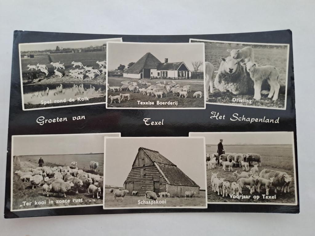 Texel, Ophalen of Verzenden, Waddeneilanden