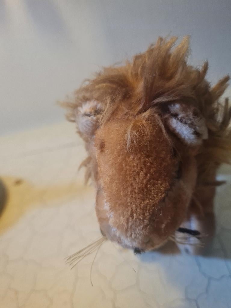 Oude knuffel leeuw met label stro gevuld glazen ogen, Ophalen of Verzenden
