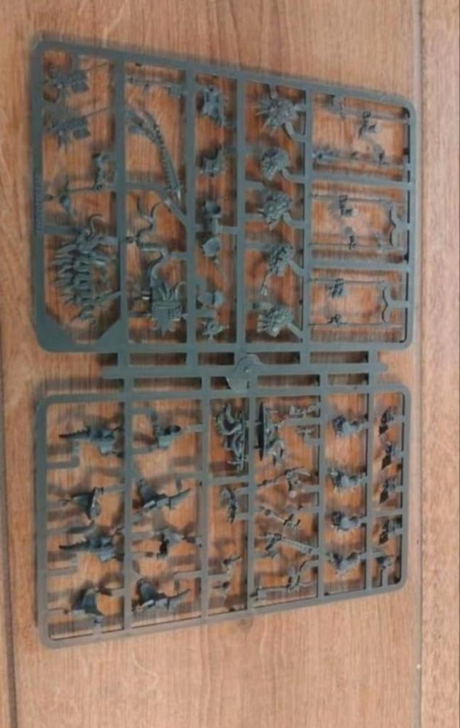 Warhammer Fantasy Lizardmen Sarus knights 99380208003 sprue, Ophalen of Verzenden, Zo goed als nieuw, Warhammer