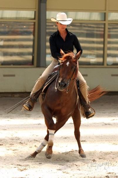 Western trainingen (WRAN trainer), Paardrijles of Ponykampen