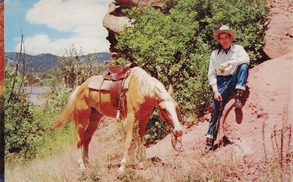 Even een pauze voor een lange trail 501, Verzamelen, Ophalen of Verzenden, 1960 tot 1980, Ongelopen, Paard