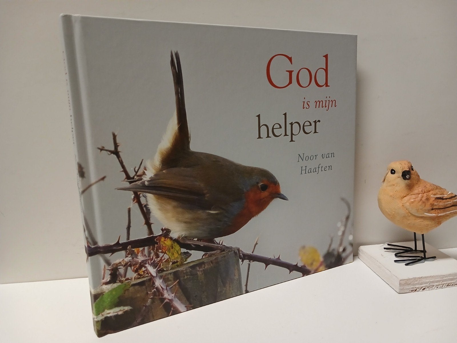Haaften, Noor van ; God is mijn helper, Ophalen of Verzenden, Gelezen, Christendom | Protestants