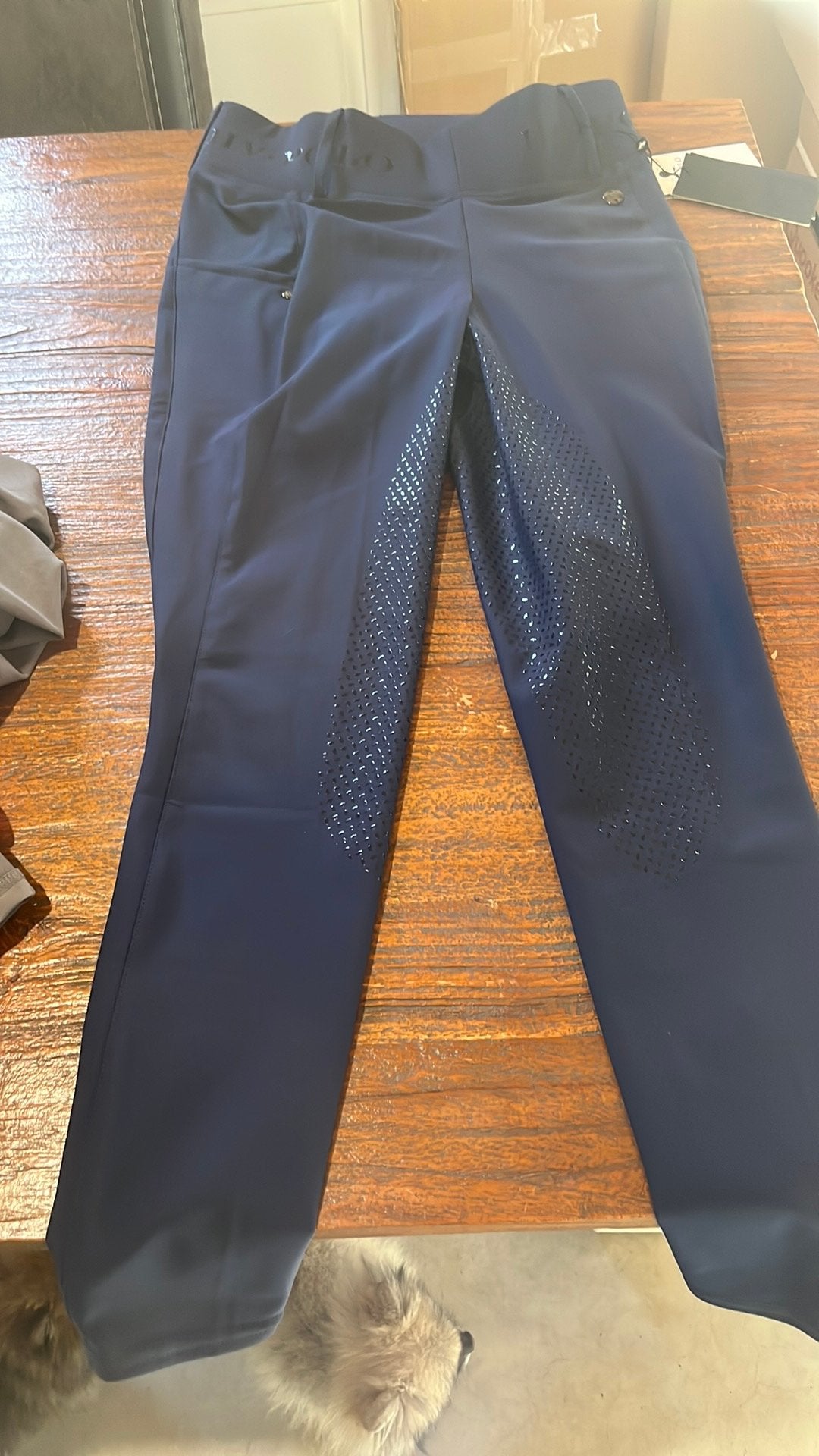 Nieuw met kaartje hv polo favourite, Ophalen of Verzenden, Nieuw, Dressuur, Onderkleding