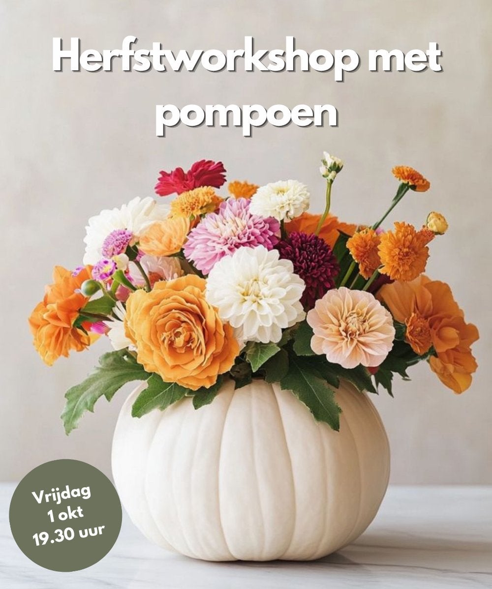 Herfstworkshop met pompoen, Ophalen