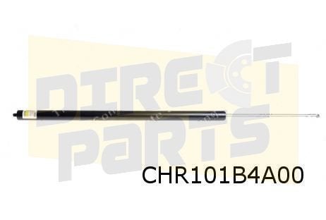 Chrysler/Dodge Voyager (3/01-6/04) Gasveer achterklep OES! 4