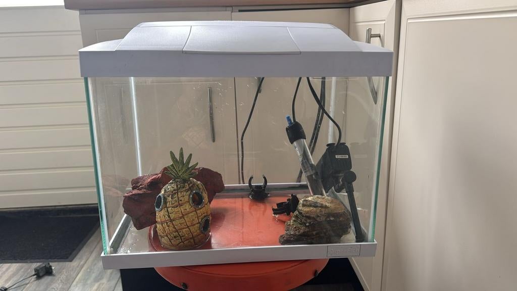 Aquarium met filter, lamp en decoratie., Ophalen, Zo goed als nieuw, Leeg aquarium