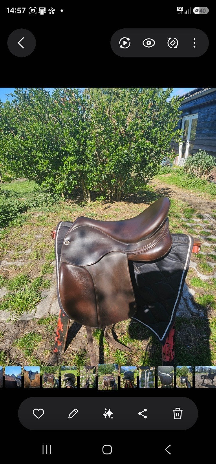 2 Startrekk dressuur zadels te koop, L (17.5 inch), Dressuur, Overige merken, Ophalen of Verzenden