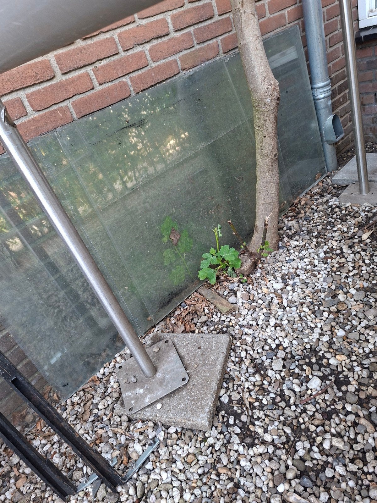 Tuin / kas glas platen diverse, Ophalen, Minder dan 80 cm, Glasplaat