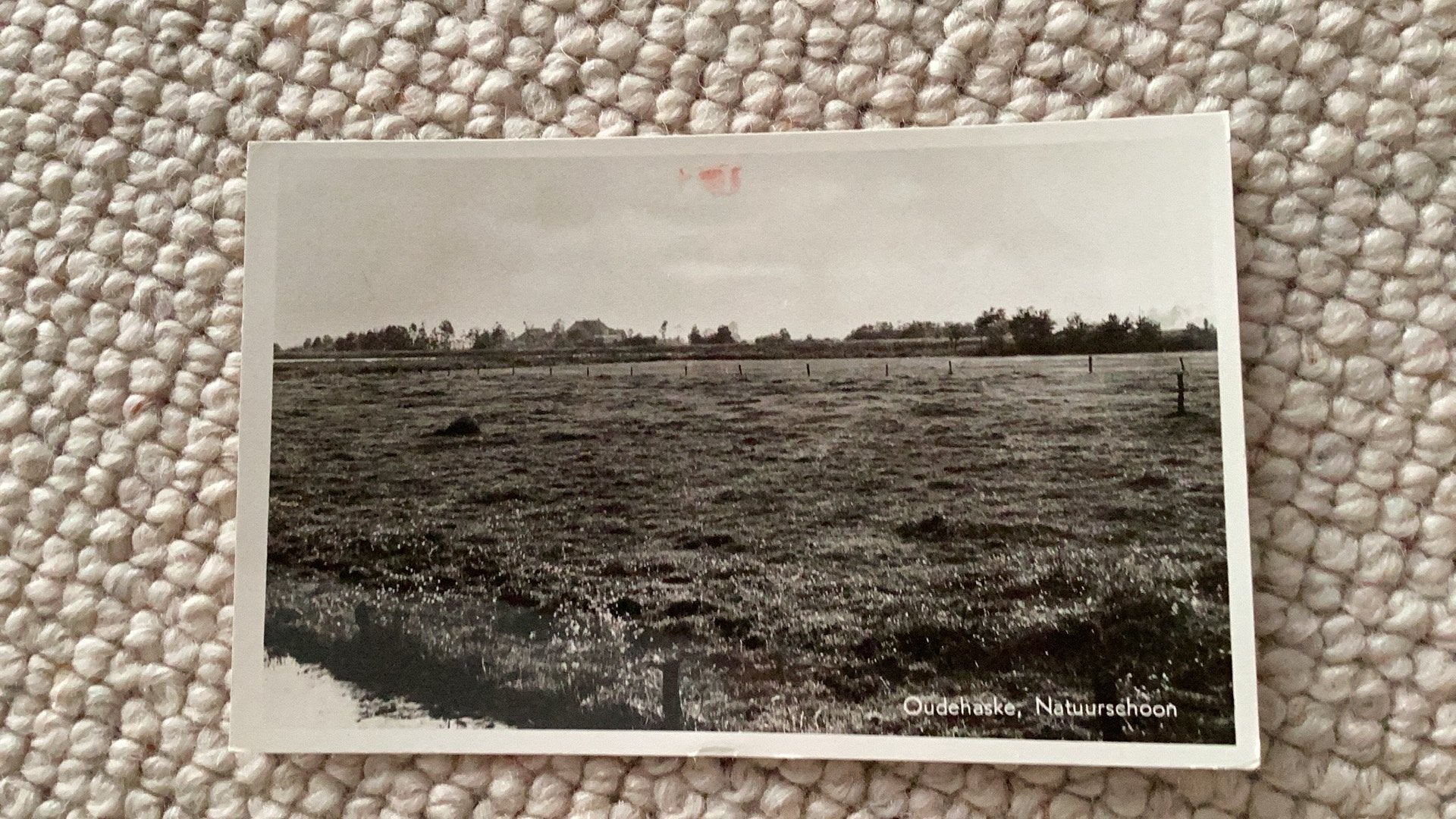 Ansichtkaart Oudehaske Natuurschoon 1959. 991, Ophalen of Verzenden, 1940 tot 1960, Gelopen, Friesland