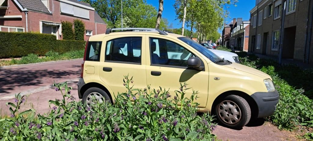 Fiat Panda 1.2 2011 Geel, Auto's, Fiat, Particulier, Panda, ABS, Airbags, Airconditioning, Boordcomputer, Centrale vergrendeling