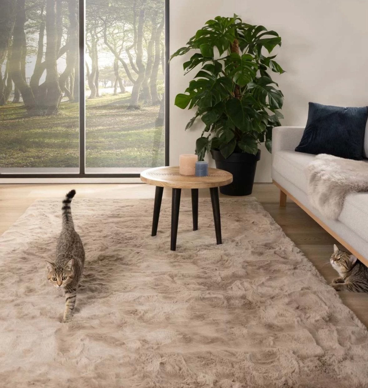 Vloerkleed taupe | als NIEUW | 160x230, Ophalen, Overige kleuren, 150 tot 200 cm, 200 cm of meer