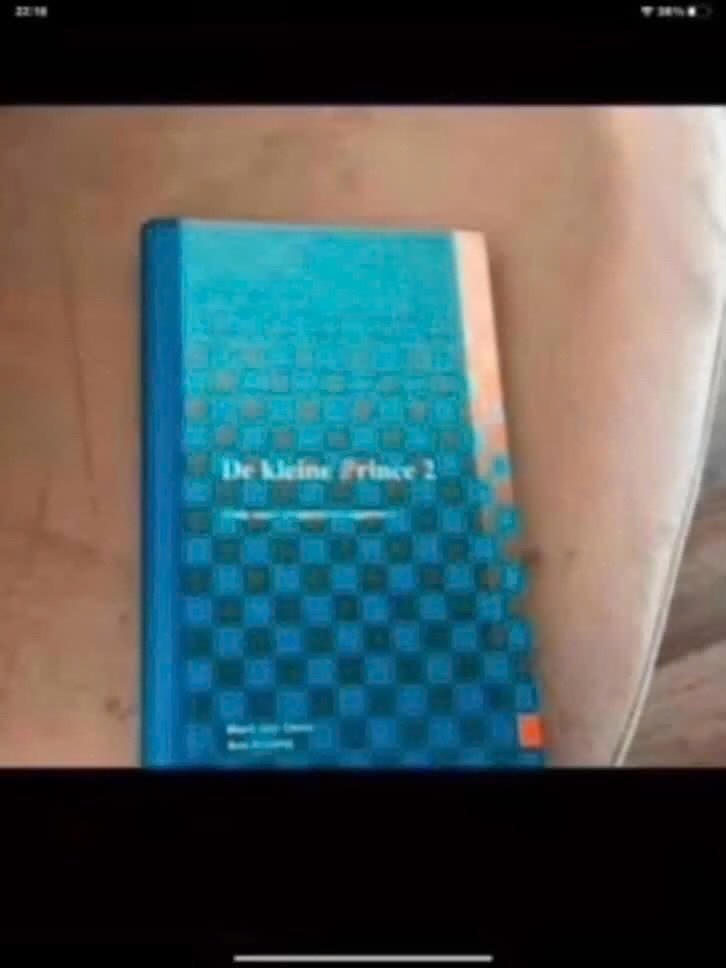 De Kleine Prince 2 - Boek, Niet van toepassing, Ophalen of Verzenden, Alpha, Onbekend