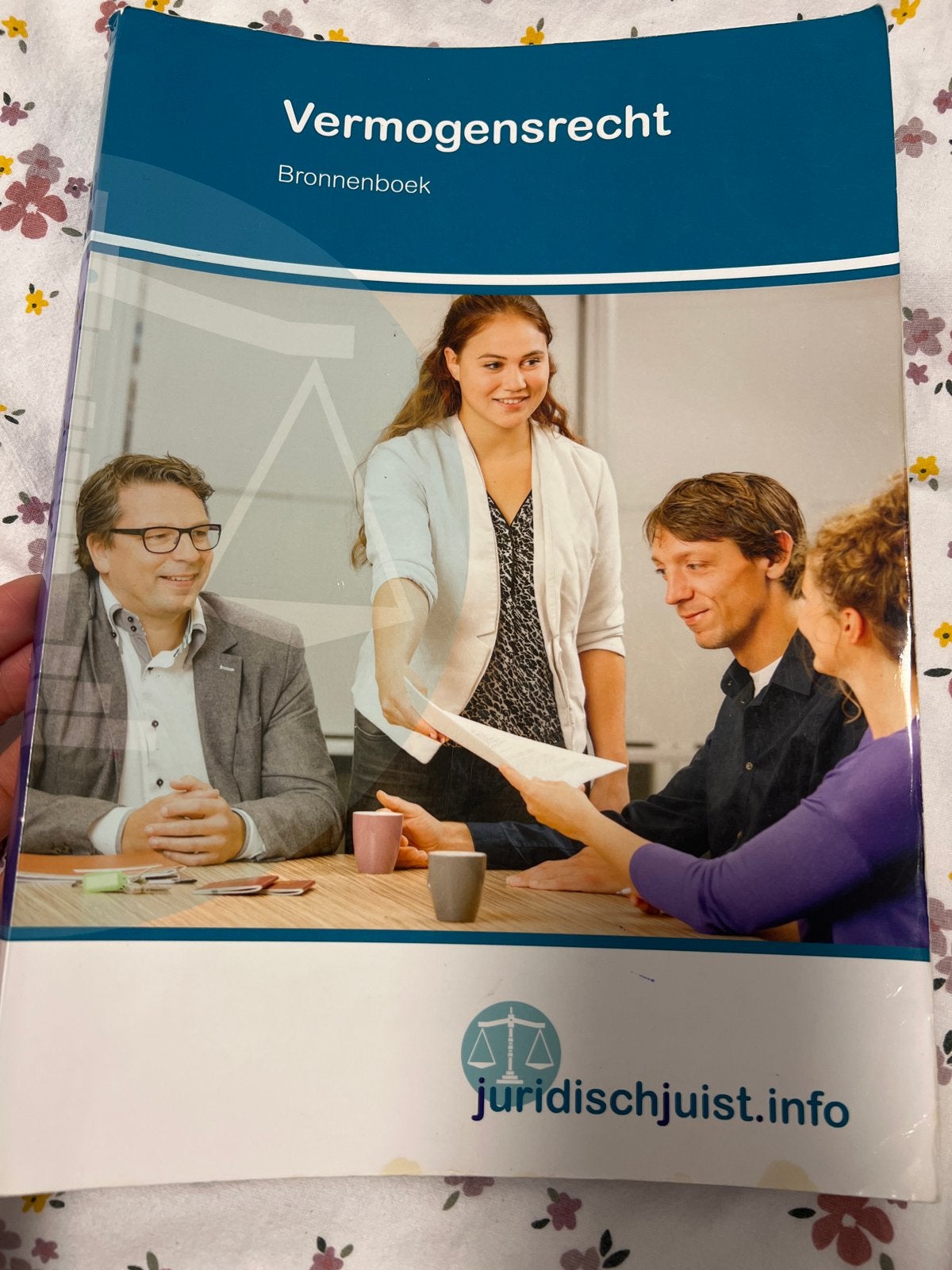 Vermogensrecht Bronnenboek - Juridisch Juist Info, Boeken, Ophalen of Verzenden, Gamma, Gelezen, MBO
