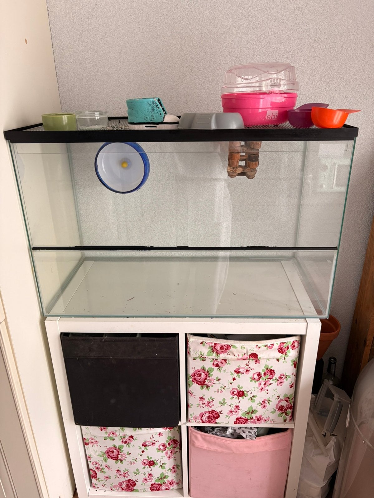 Terrarium voor knaagdieren 80-50-40 | bieden mag ook zeker, Zo goed als nieuw, Hok, Hamster, 75 tot 110 cm