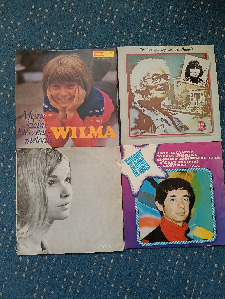 4 Nederlandstalig LP's, Ophalen of Verzenden, Gebruikt, 12 inch, Levenslied of Smartlap