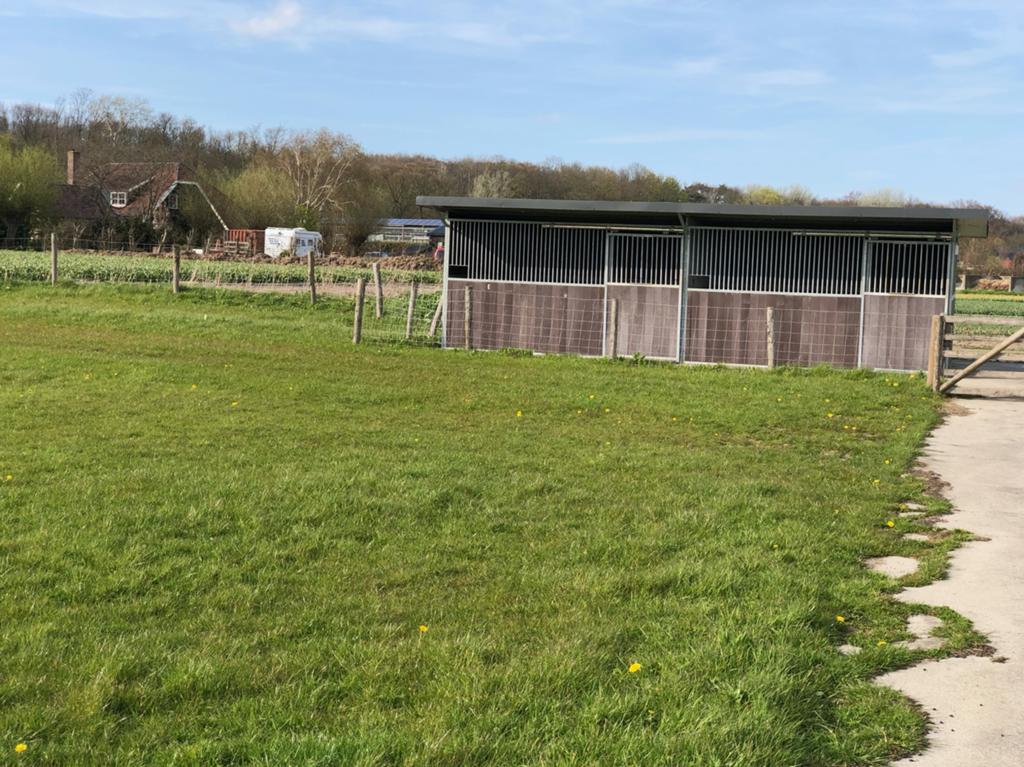Pony weide met ruime schuulstallen. (Heemskerk), Dieren en Toebehoren, Stalling en Weidegang, Weidegang