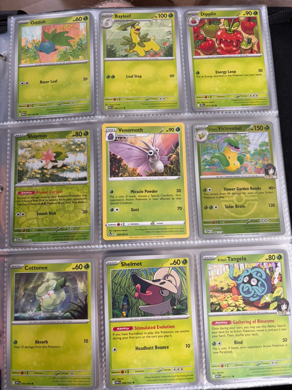 Foto 16 van Pokémon collectie: toploaders, PSA 10 Meditite, binder vol