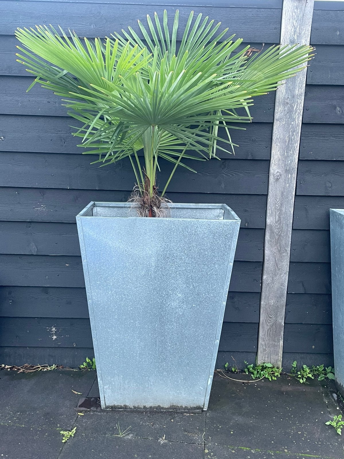2 hoge plantenbakken, Tuin en Terras, Ophalen, Gebruikt, Rond, Kunststof