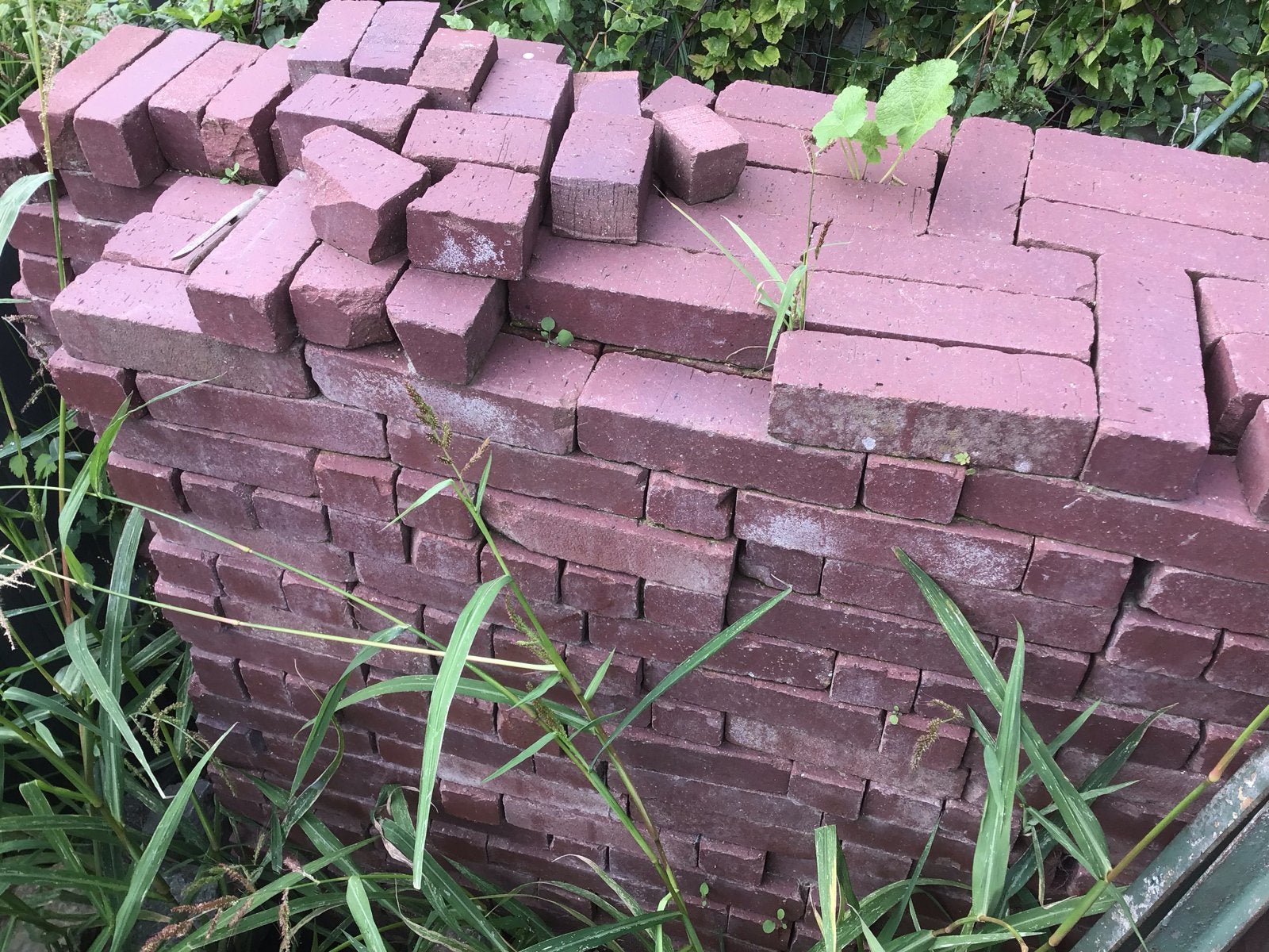 Rode waaltjes, ca. 380 stuks, ophalen in Zeeuws Vlaanderen!, Ophalen, Overige materialen, Gebruikt, Overige typen