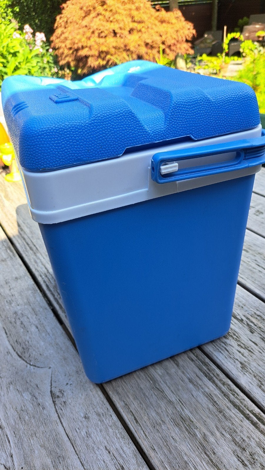 koelbox blauw en wit., Ophalen, Gebruikt