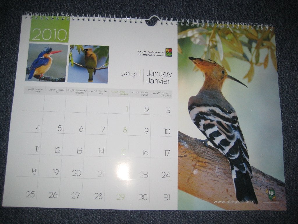 vogel kalender 2010, Ophalen of Verzenden, Maandkalender, Nieuw