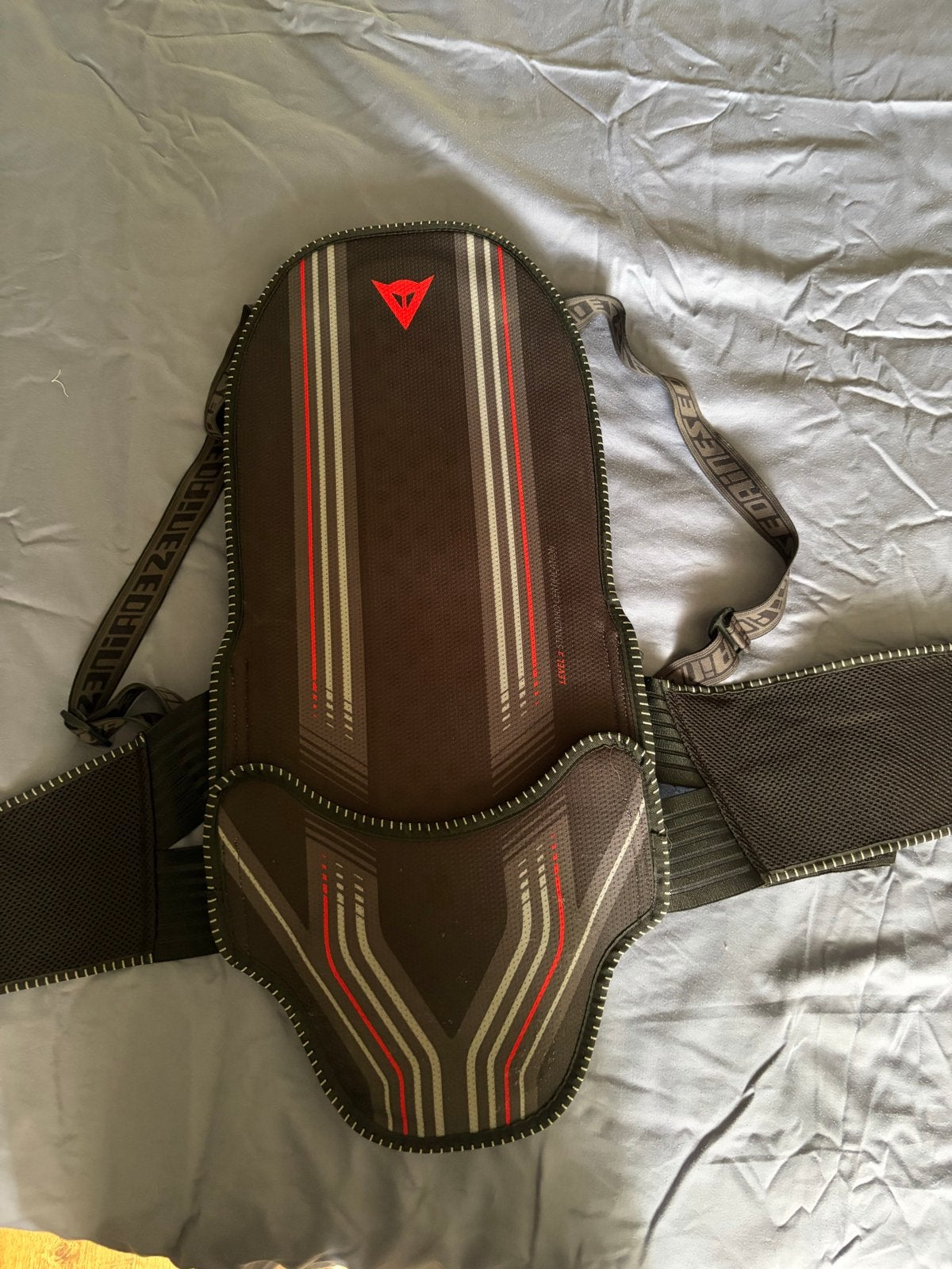 Dainese Rugprotector Level 2, Ophalen of Verzenden, Tweedehands, Heren, Overige typen