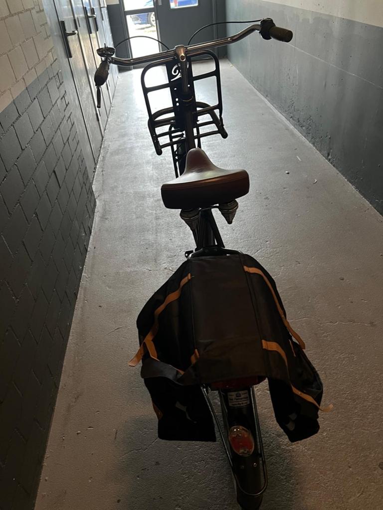 Stevige transportfiets met voordrager en fietstassen, Fietsen en Brommers, Fietsen | Dames | Damesfietsen, Terugtraprem, Versnellingen
