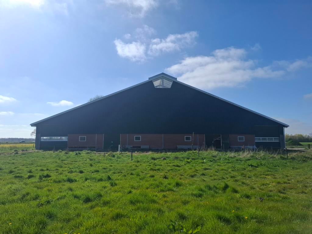 ligboxenstal, Dieren en Toebehoren, Stalling en Weidegang