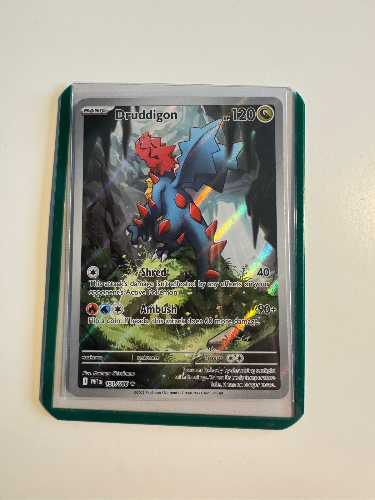 Druddigon 151/086 NM, Ophalen of Verzenden, Nieuw, Losse kaart, Foil