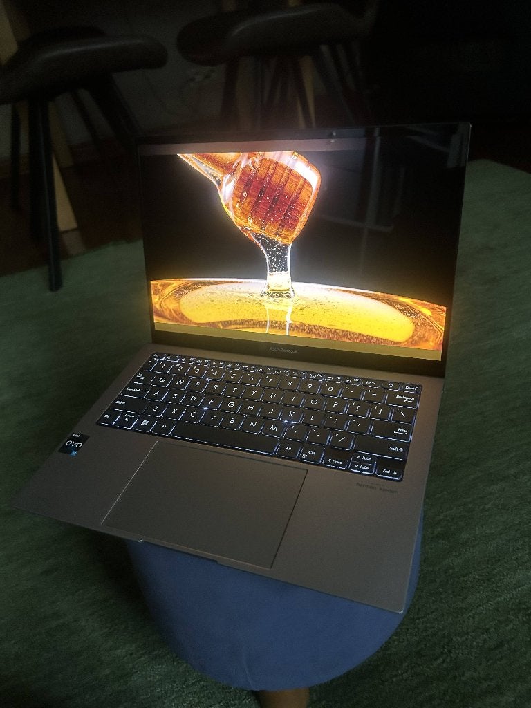 ASUS ZENBOOK S13 OLED 32GB RAM 1TB, Computers en Software, Ophalen, Zo goed als nieuw, SSD, 1 TB