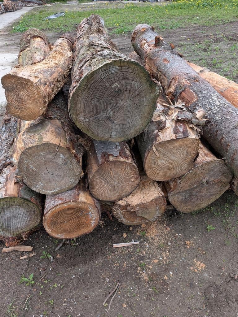 Douglas stammen 7 kuub droog 3 meter lang, Tuin en Terras, Haardhout, 6 m³ of meer, Ophalen, Overige houtsoorten, Stammen