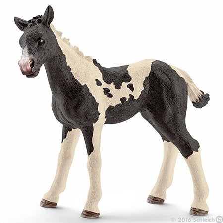 Schleich 13803 pinto veulen, dierfiguur, Ophalen of Verzenden, Gebruikt, Paard, Beeldje of Figuurtje