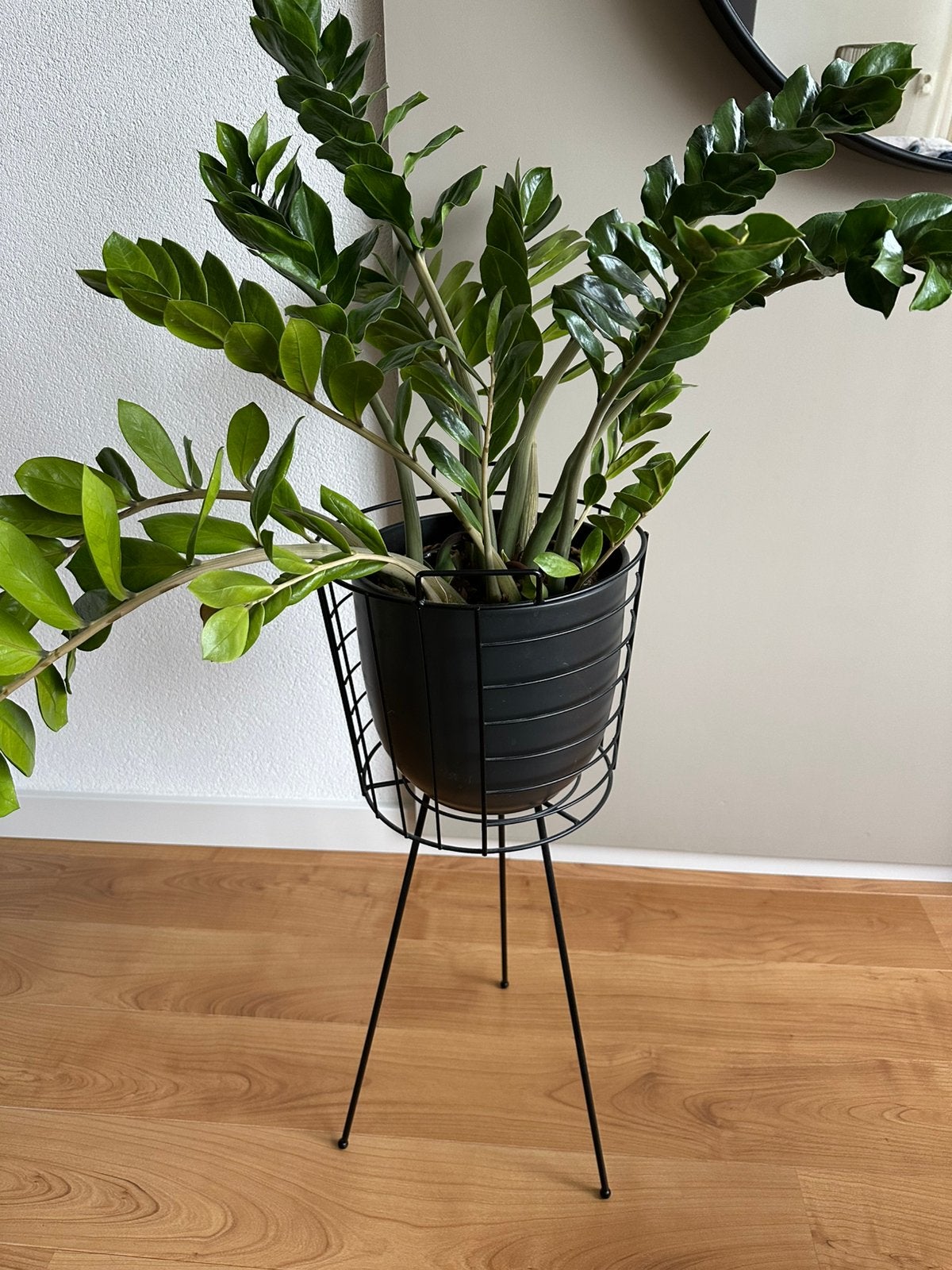 Bloempotten houder, Ophalen, Kunststof, Minder dan 30 cm, Rond