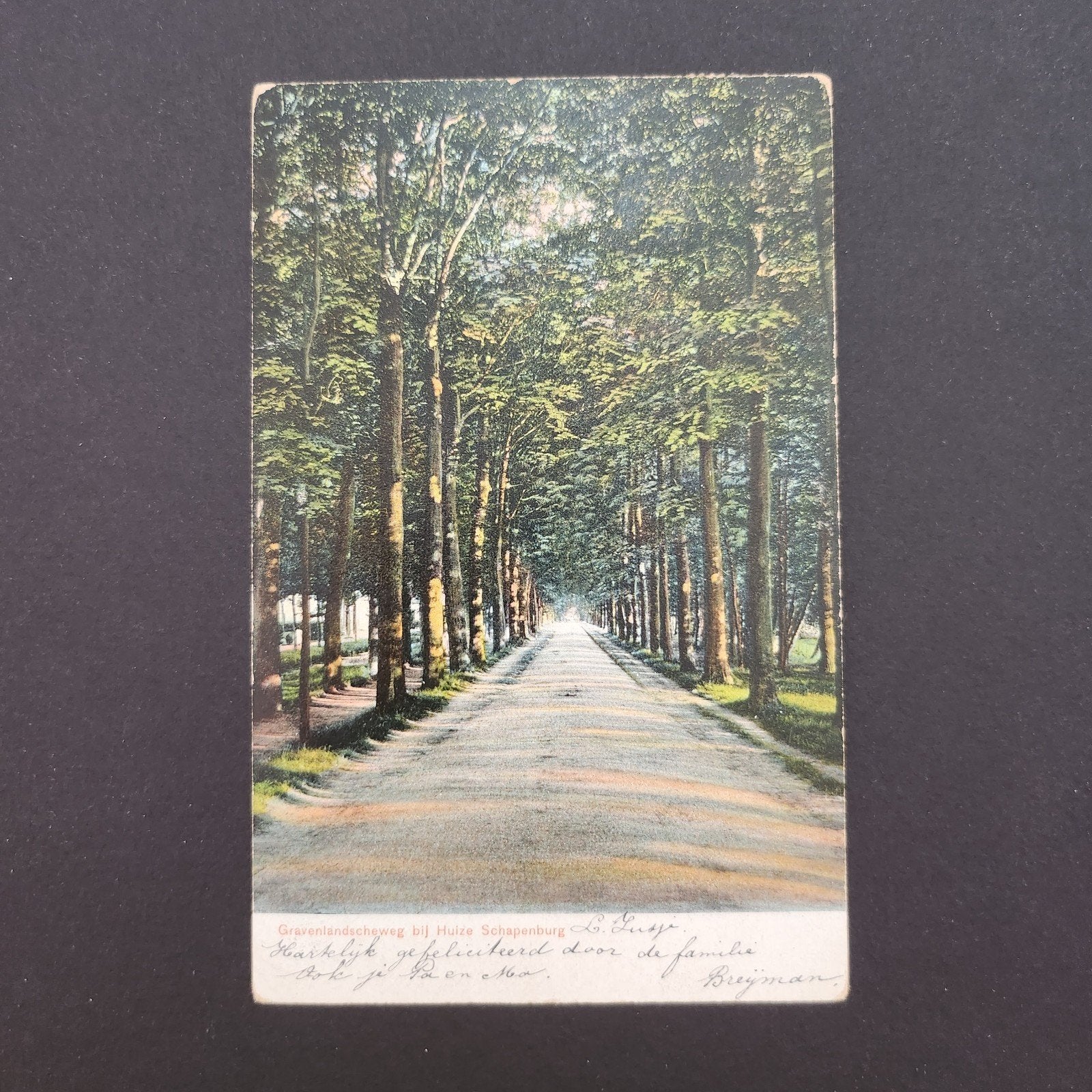 Ansichtkaart Gravenlandscheweg Huize Schapenburg 1905, Verzenden, Voor 1920, Gelopen, Noord-Holland