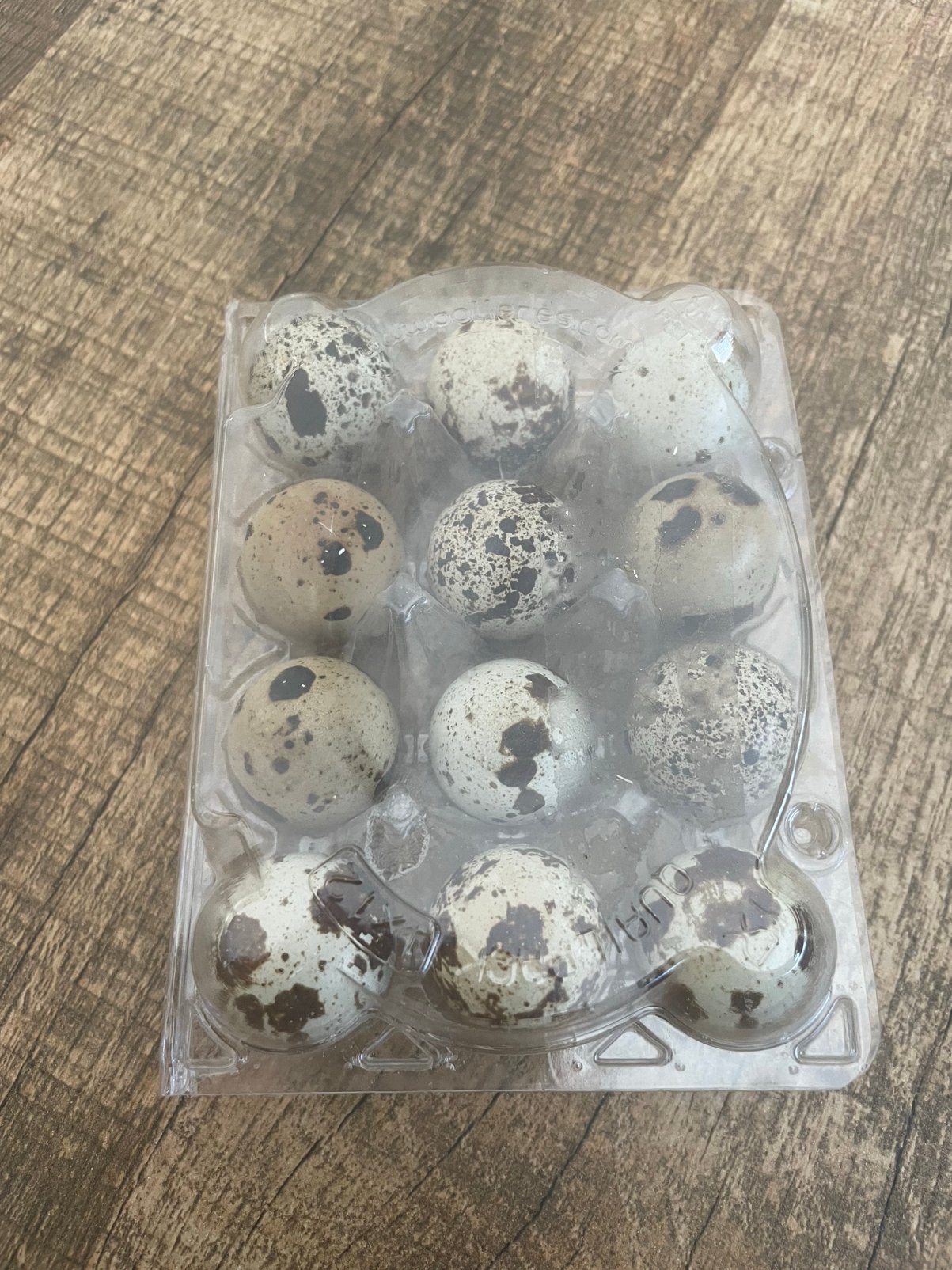 Broedeieren Japanse kwartel Mix kleuren, Dieren en Toebehoren, Geslacht onbekend, Overige soorten
