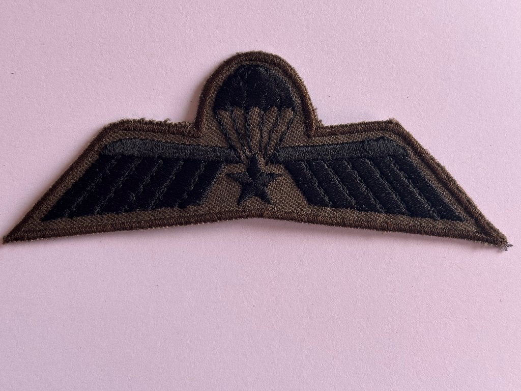Parawing Parachutist SLS, Verzenden, Landmacht, Nederland, Kleding of Schoenen