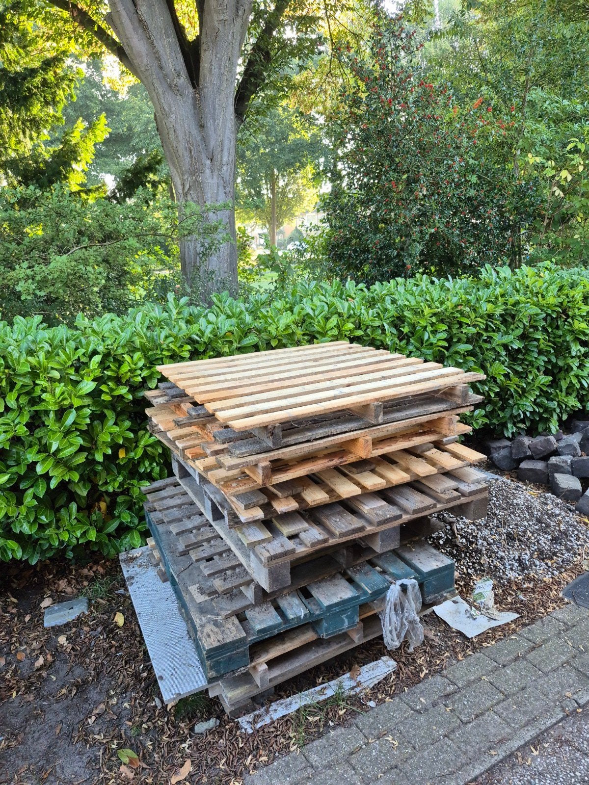 houten pallets, Ophalen, Hout