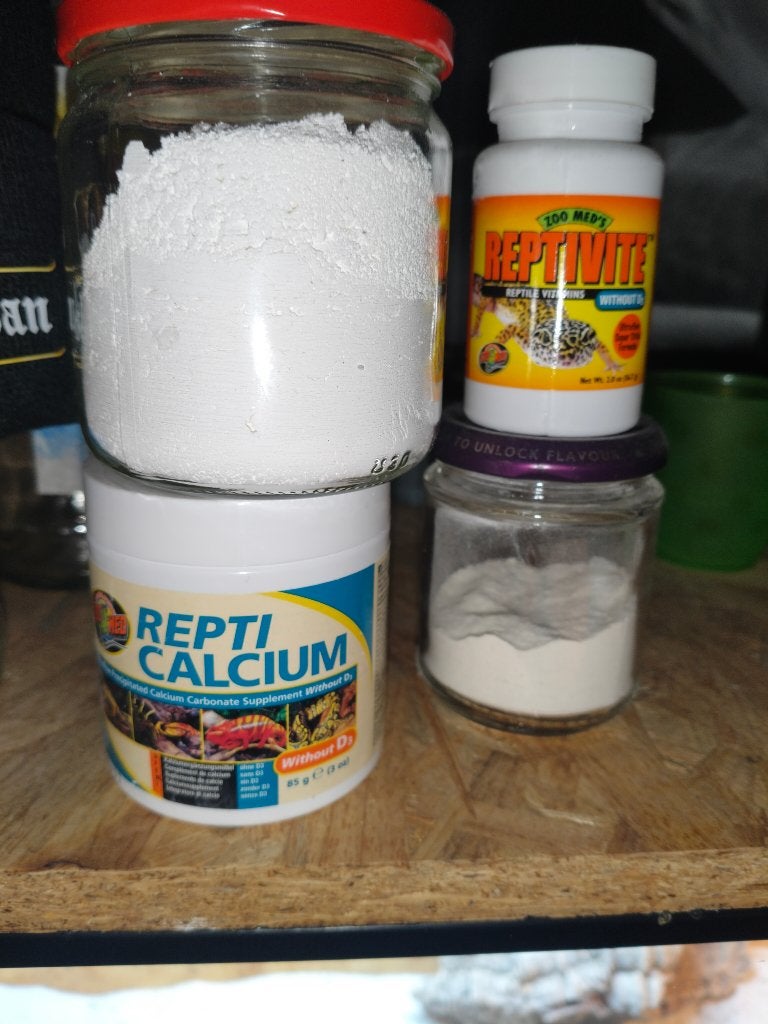 baardagaam met compleet terrarium en alle benodigdheden Bearded Dragon photo 7