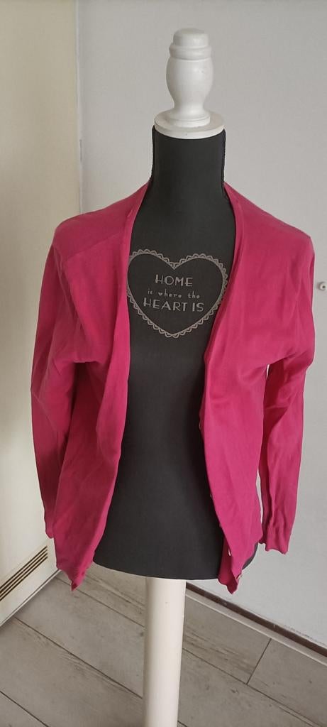 Verschillende vesten, Ophalen of Verzenden, Zo goed als nieuw, Maat 46/48 (XL) of groter, Roze
