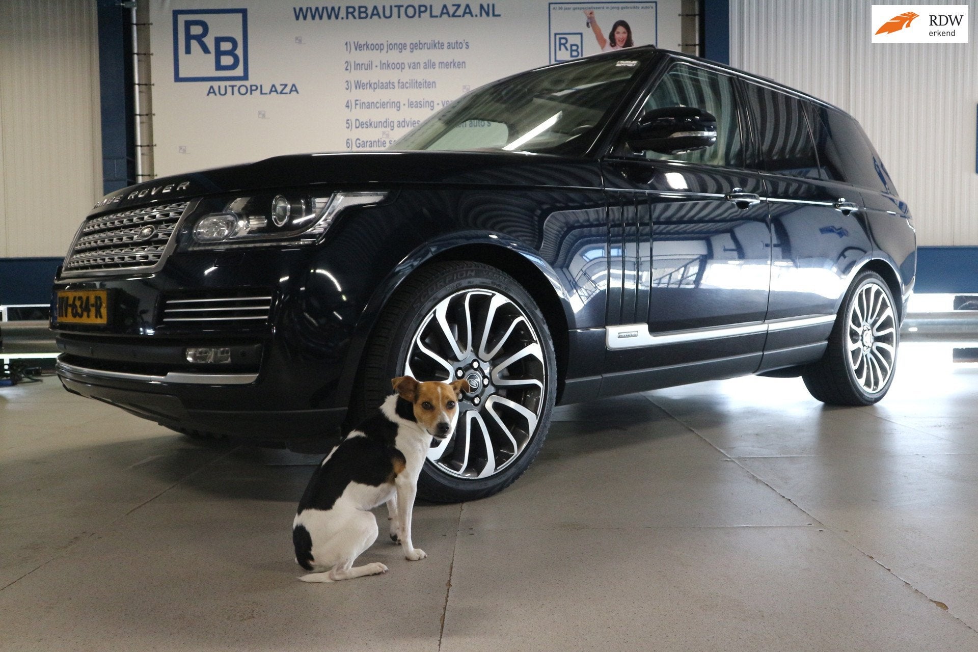Land Rover Range Rover 3.0 SDV6 Hybrid Autobiography / ORG N, Automaat, 313 €/maand, Euro 6, 2993 cc