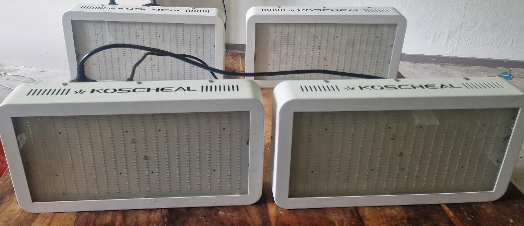 4x KOSCHEAL KS2000 LED Groei/bloeilamp, Ophalen, Zo goed als nieuw, Kweeklamp