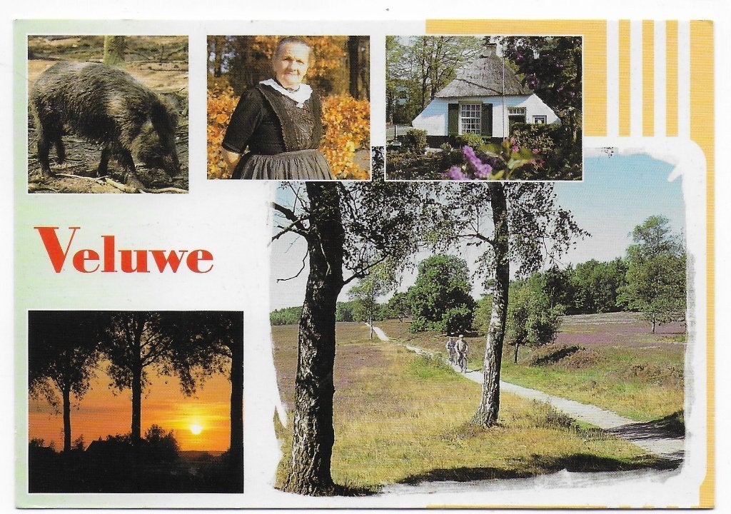 Veluwe gelopen Ansichtkaart (B2466 ), Ophalen of Verzenden, 1980 tot heden, Gelopen, Gelderland